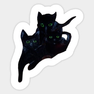 Black cats Sticker